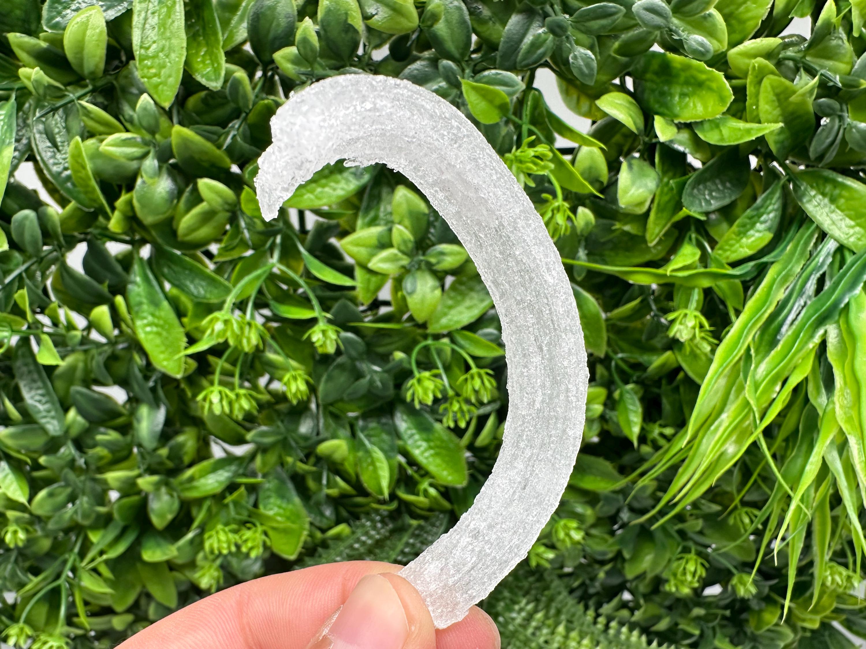 White Selenite Gypsum "Ram's Horn'' Selenite,from Guizhou,China,perfect Shape and Luster,Fluorescent Selenite Gypsum,minerals specimen,colle