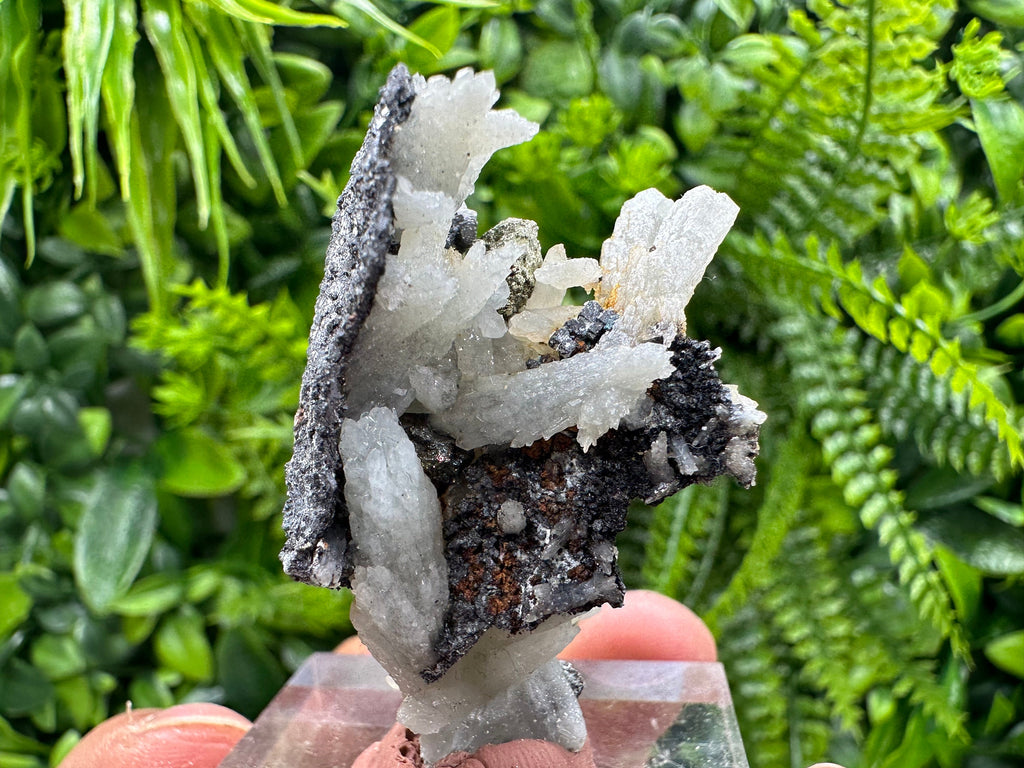 Green Quartz with Galena Chalcopyrite: Madan Bulgaria Mineral Decor