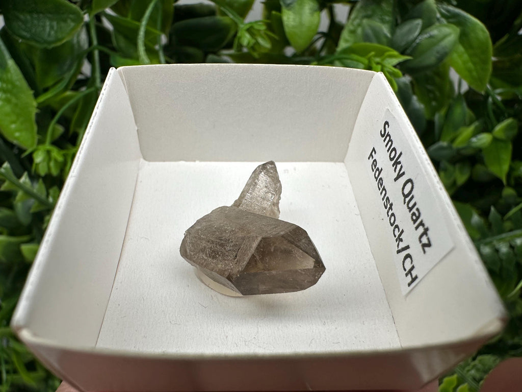 Rare Smoky Quartz Point, Fedenstock Switzerland Mineral Specimen