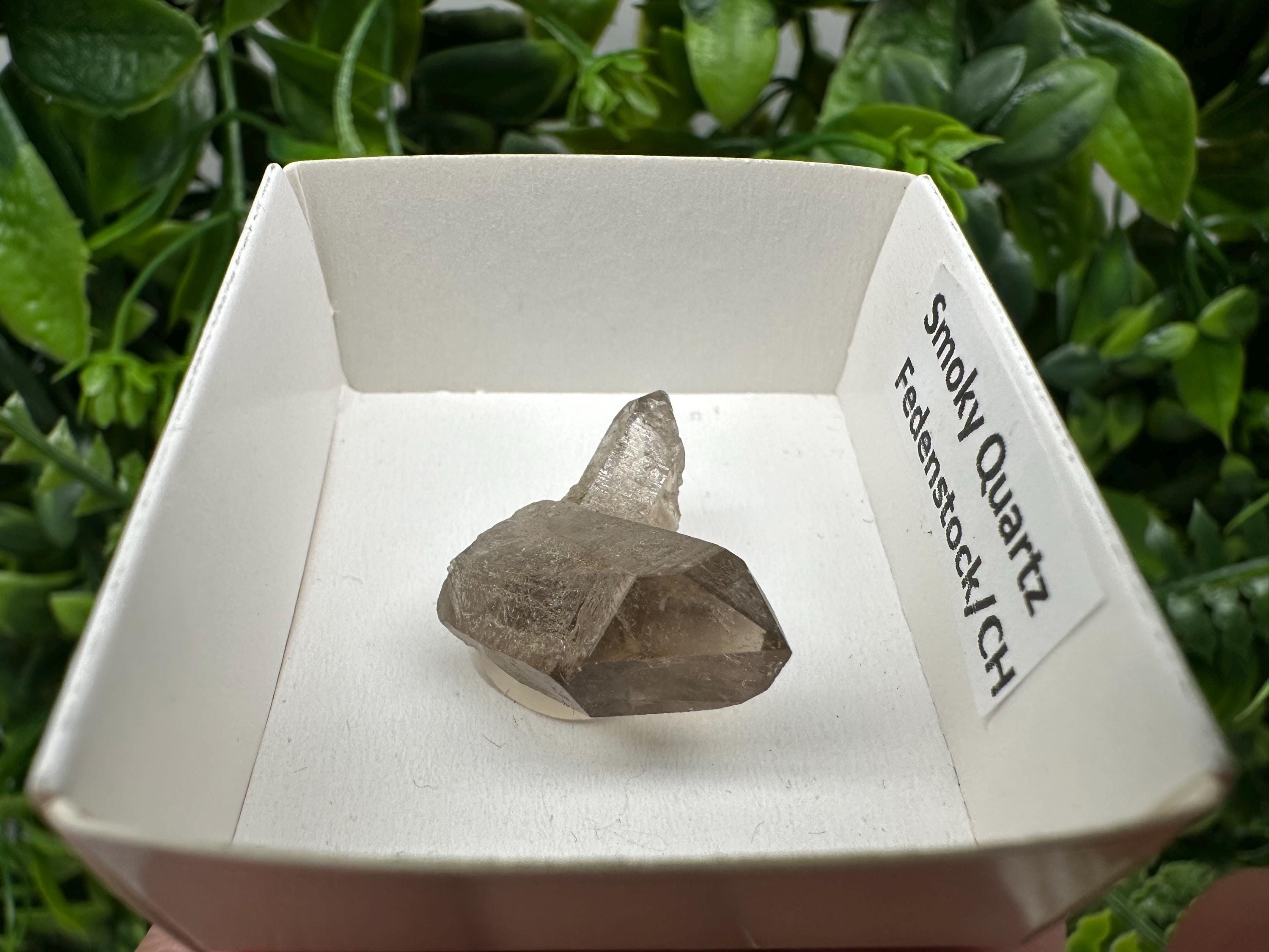 Rare Smoky Quartz Point, Fedenstock Switzerland Mineral Specimen