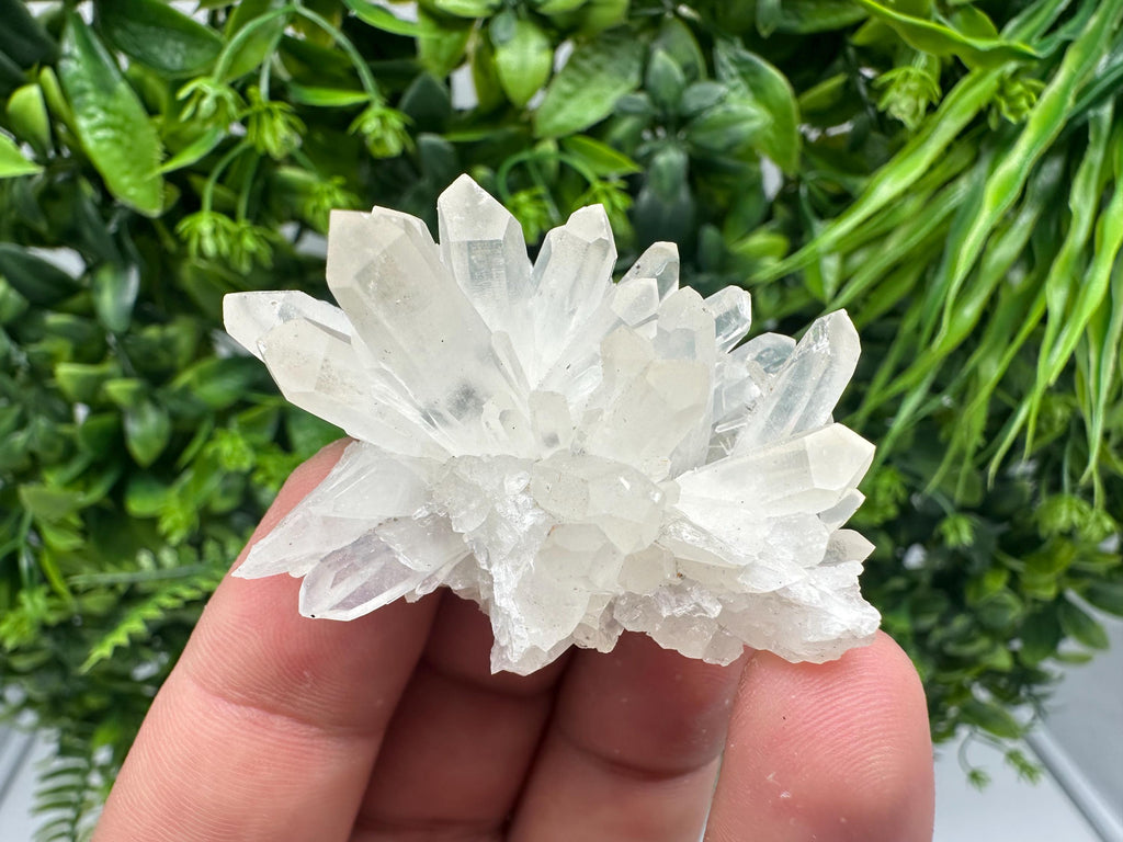Transparent Quartz Cluster: Borieva Mine Mineral Specimen, Home Decor Crystal