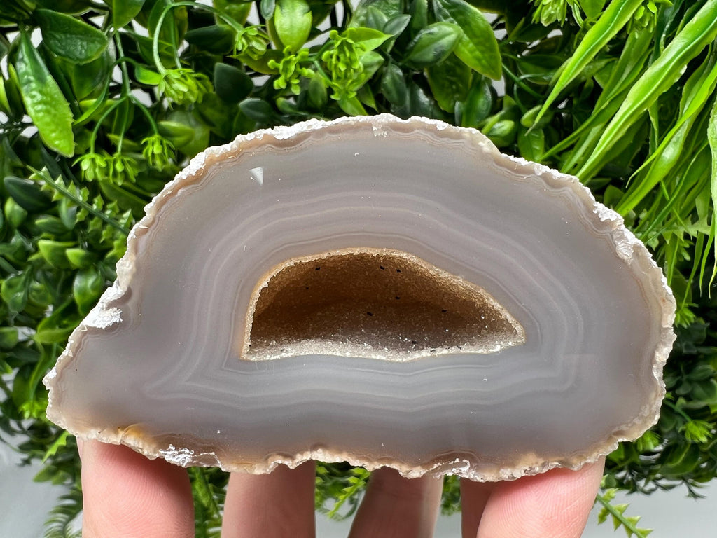 Natural Agate Geode: Blue Quartz Crystal Druzy