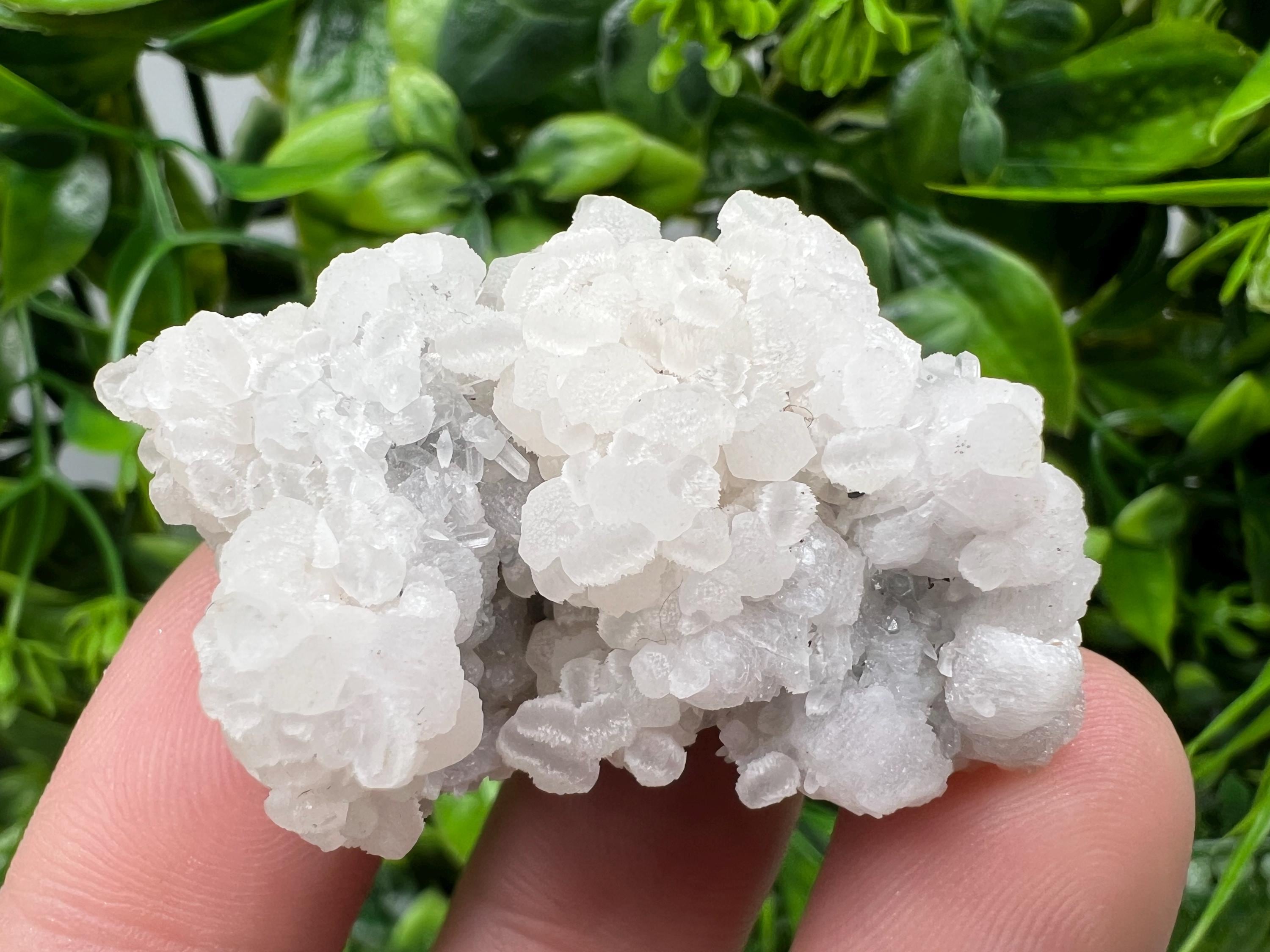 Mangano Calcite with Galena, Borieva Mine, Bulgaria