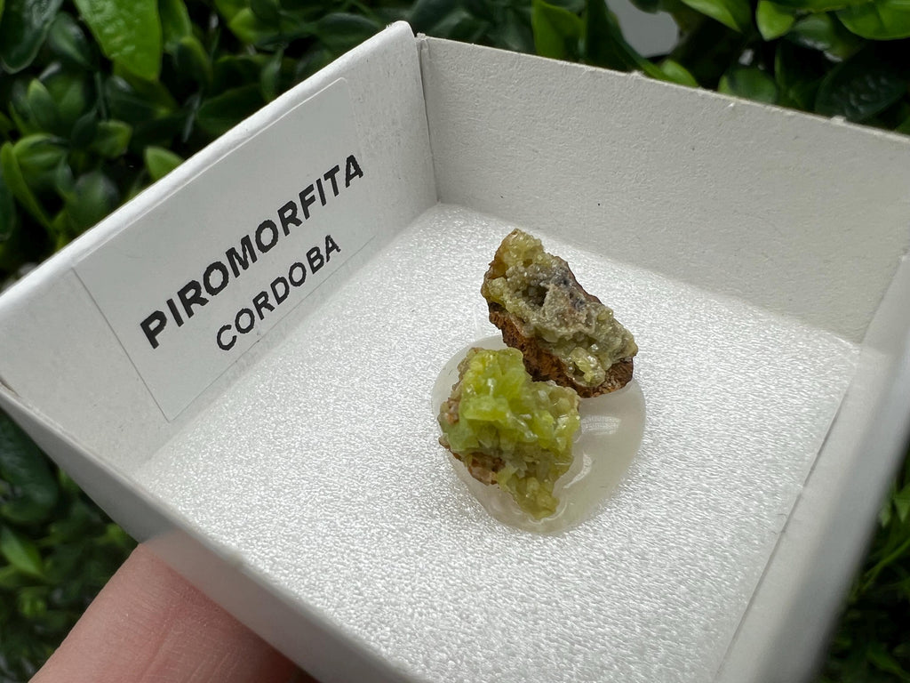 Pyromorphite Stone / Pyromorphite on Matrix / Pyromorphite Crystal / Raw Crystal / Pyromorphite Cluster / Rough Pyromorphite / Pyromorphite