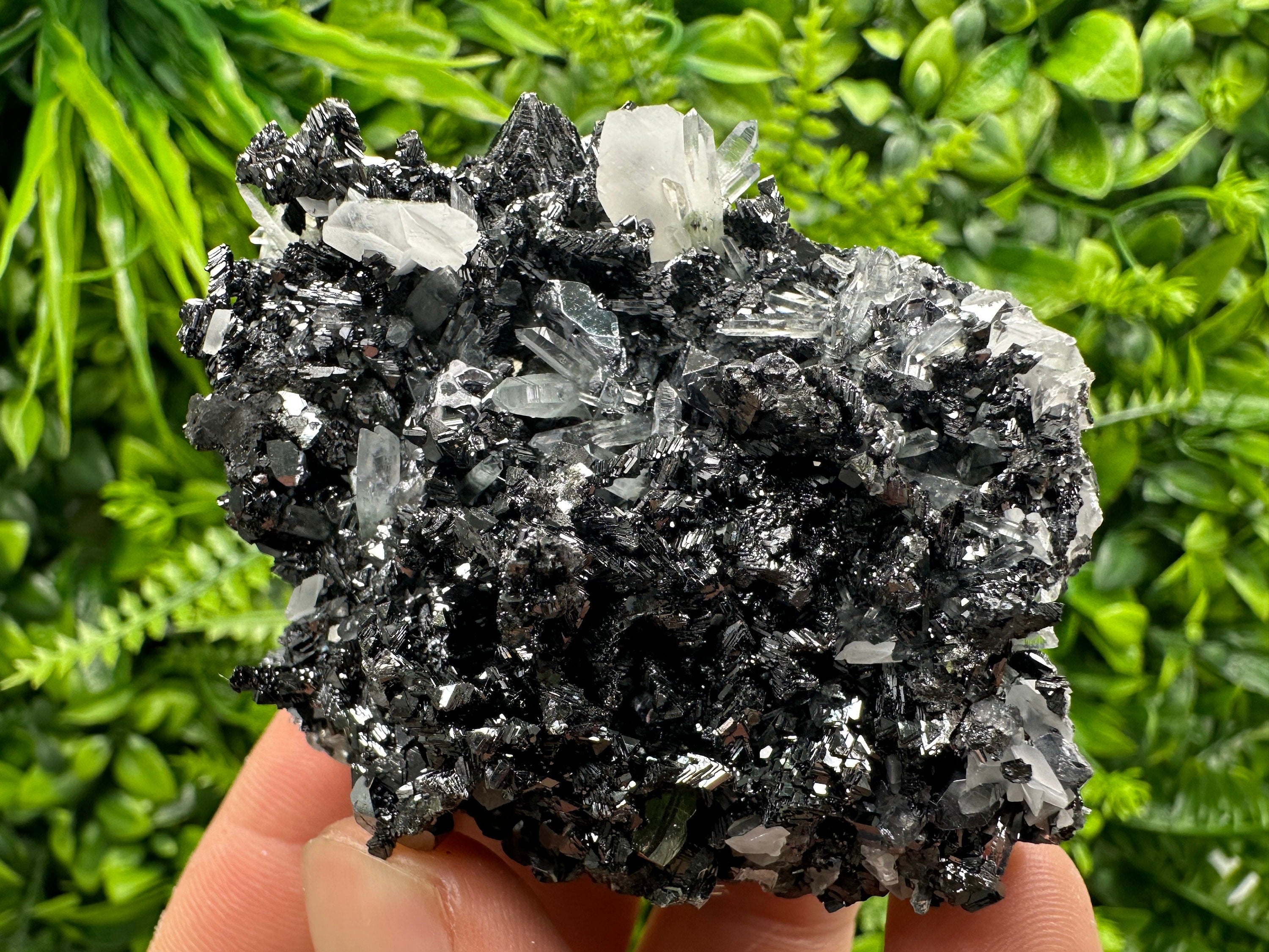 Pyrite Calcite on Sphalerite with Quartz, Bulgaria Mineral Specimen