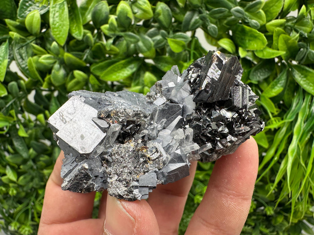 Galena on Sphalerite Mineral Specimen, Borieva Mine Bulgaria