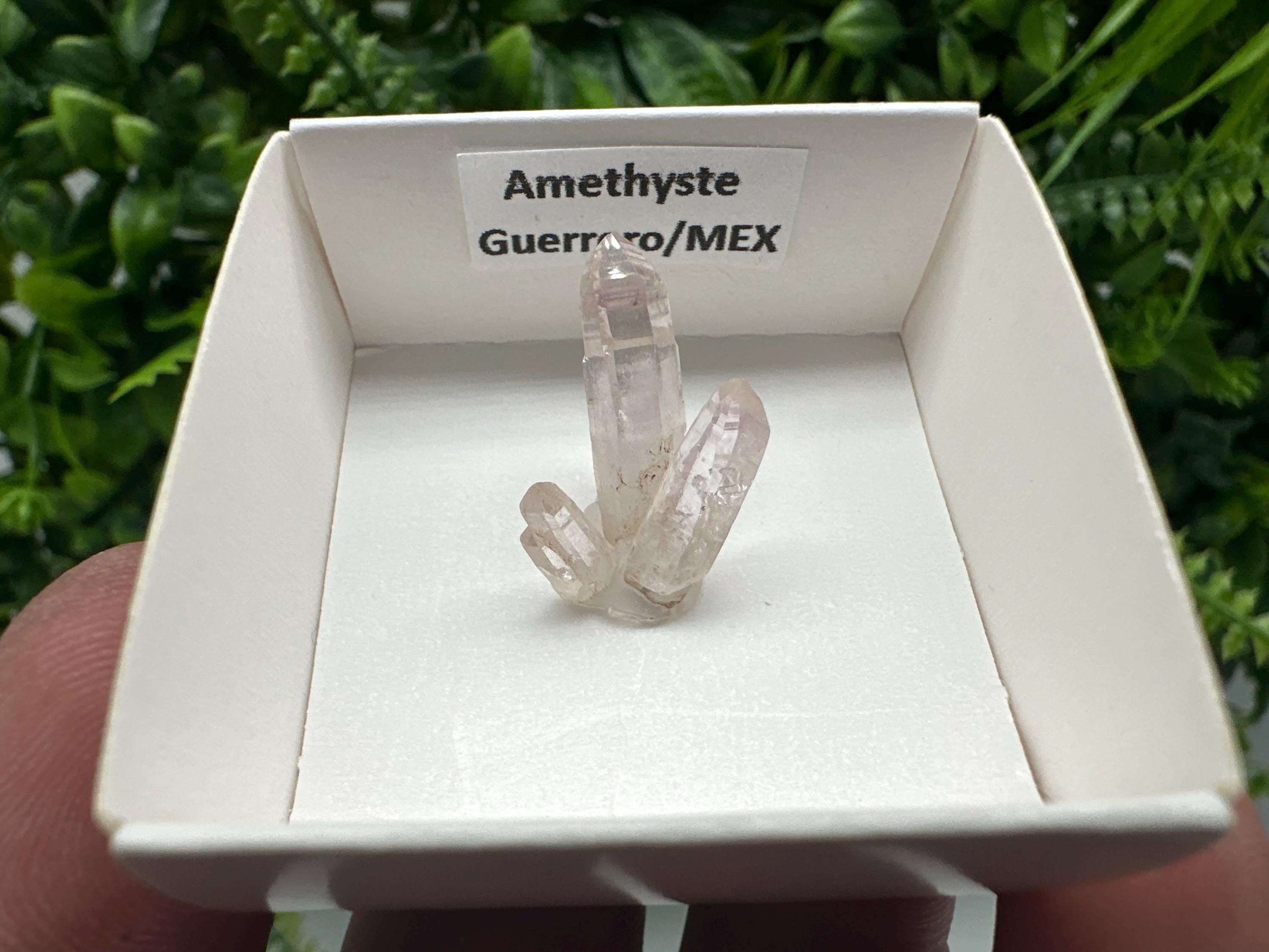 Mexican Amethyst Cluster: Mineral Specimen, Crystal Collection
