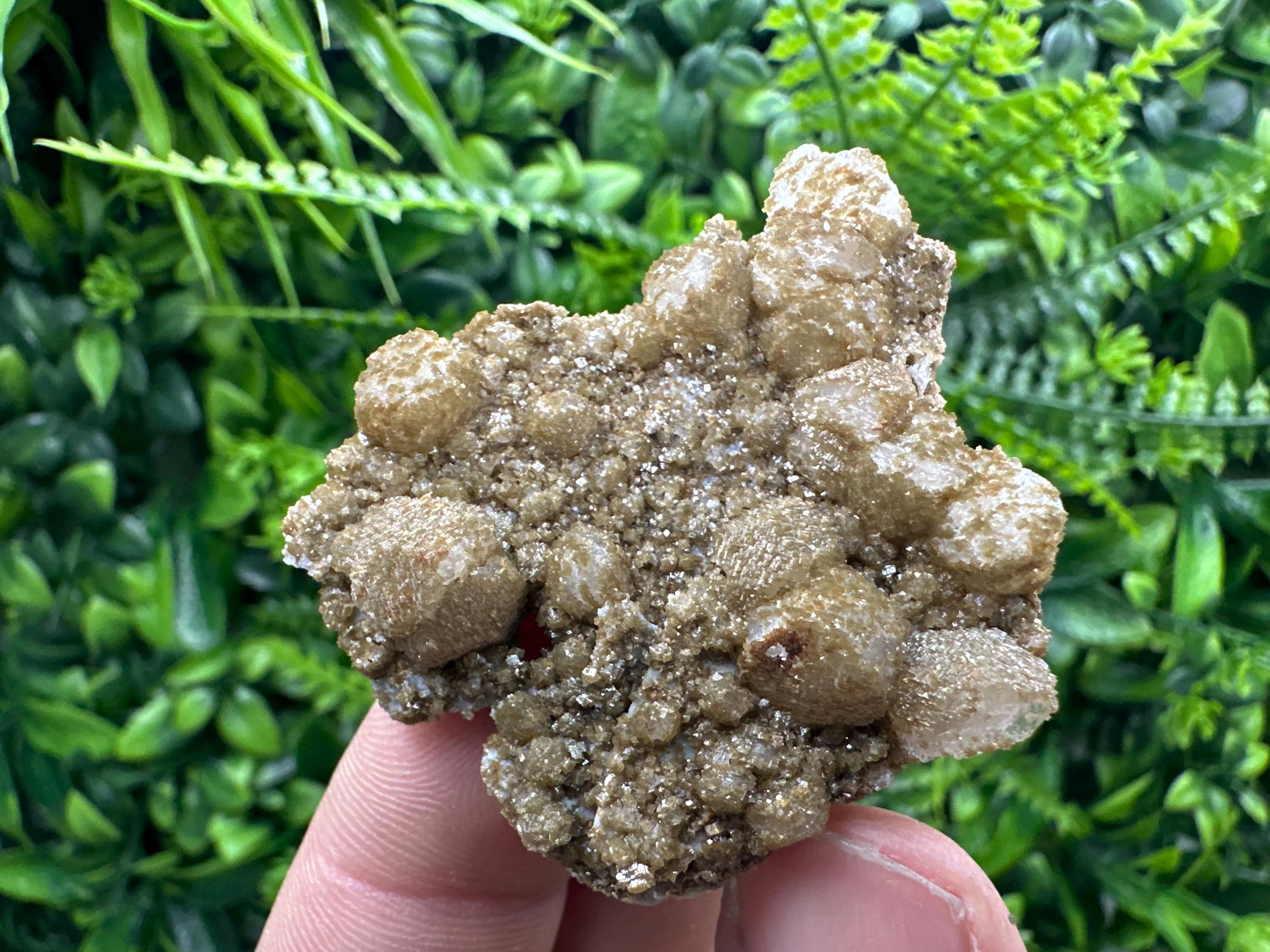 Brown Rhodochrosite on Calcite, Djurcovo Bulgaria, Mineral Specimen