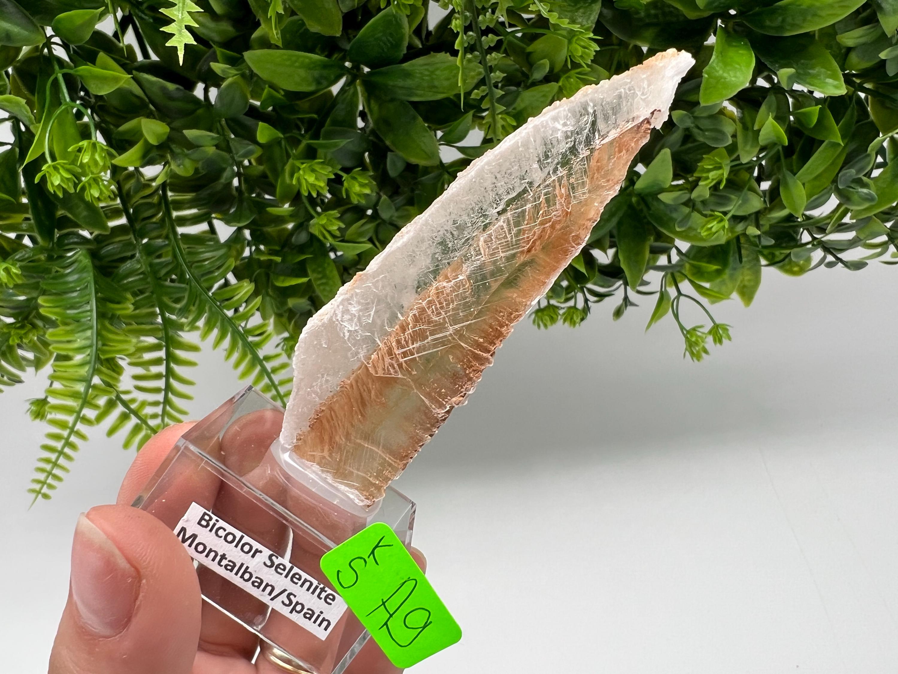Golden Phantom Selenite Slab, Utah Raw Fishtail Selenite