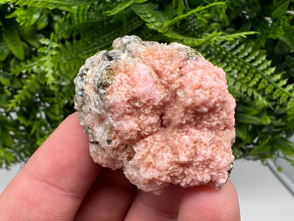 Pink Rhodochrosite Mineral Specimen, Starnica Mine, Bulgaria