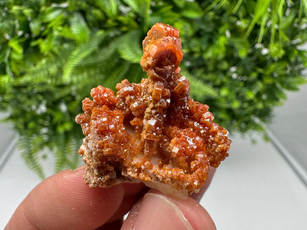 Red Vanadinite on Barite from Marocco,crystal minerals Speciment cluster Vanadinite crystal Vanadinite Geology Vanadinite cluster minerals