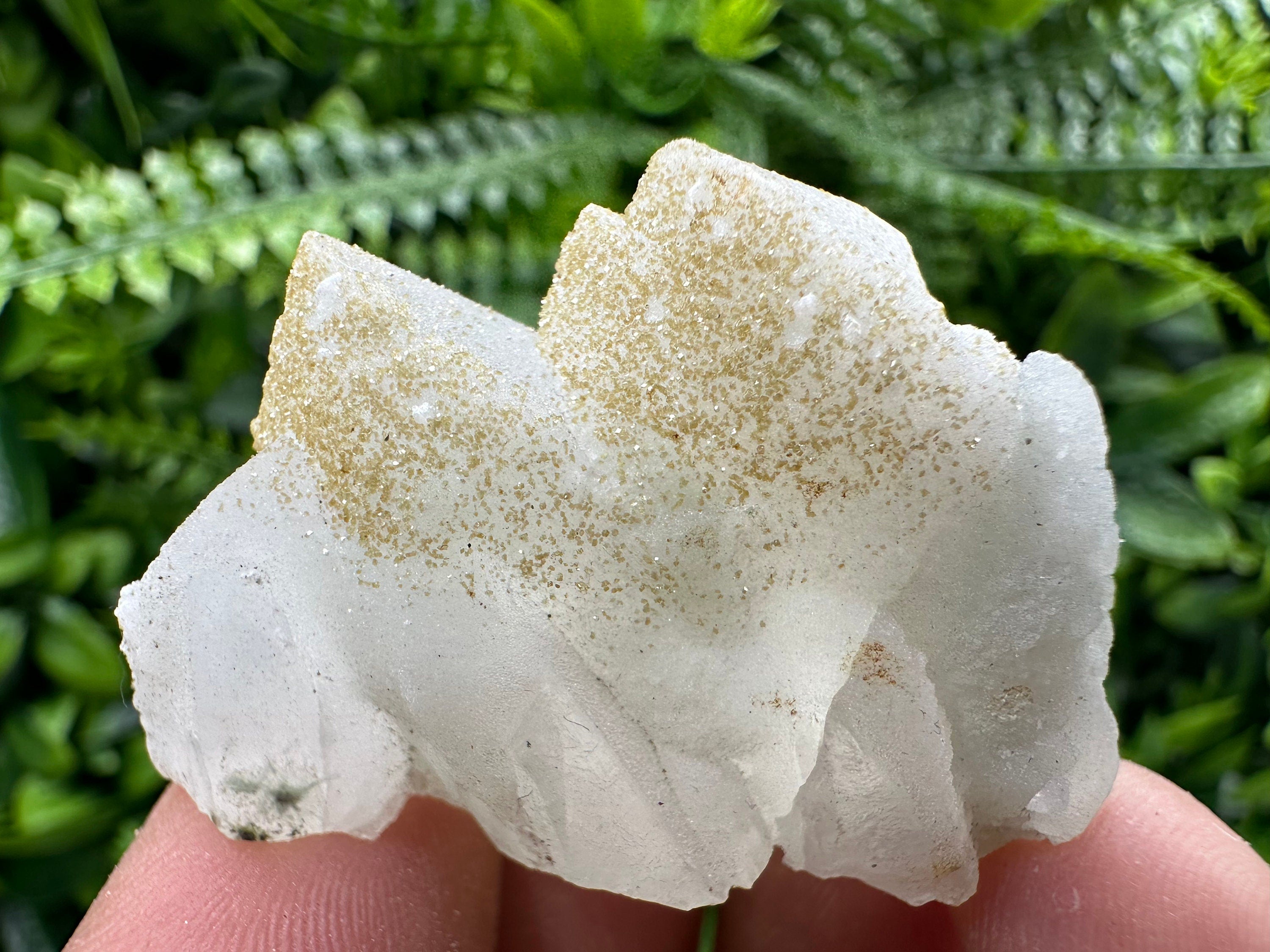 Quartz Rhodochrosite Cluster, Djurcovo Bulgaria Mineral Specimen