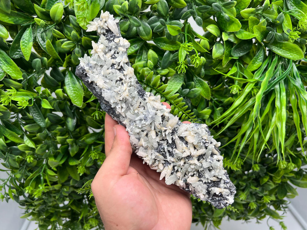 Calcite on Green Quartz: Djurcovo Mine, Bulgaria Healing Crystal