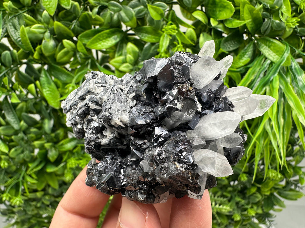 Wonderful Sphalerite Chalcopyrite on  Quartz whit Galena feom 9 th September mine,Bulgaria,natural,collection mineral specimen,gift
