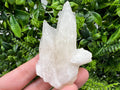 Calcite on Green Quartz: Djurcovo Mine, Bulgaria - Healing Crystal