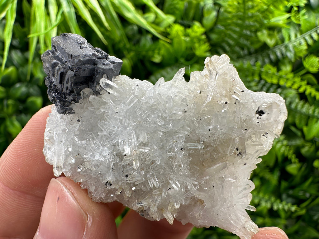 Galena on Quartz, Natural Crystal Mineral Specimen