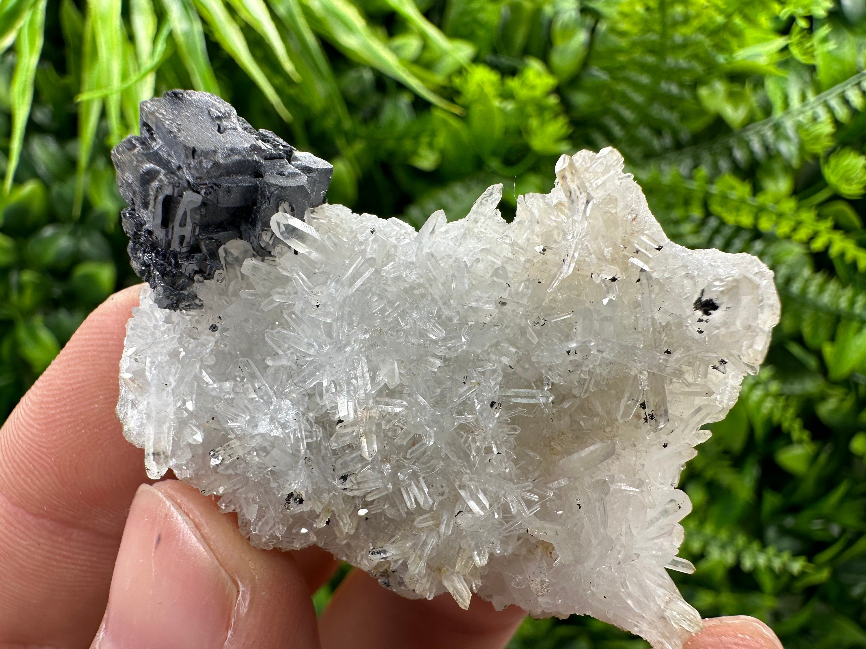 Galena on Quartz, Natural Crystal Mineral Specimen