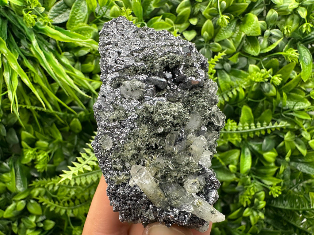 Galena with Quartz and Chlorite, Bulgaria Mineral Specimen
