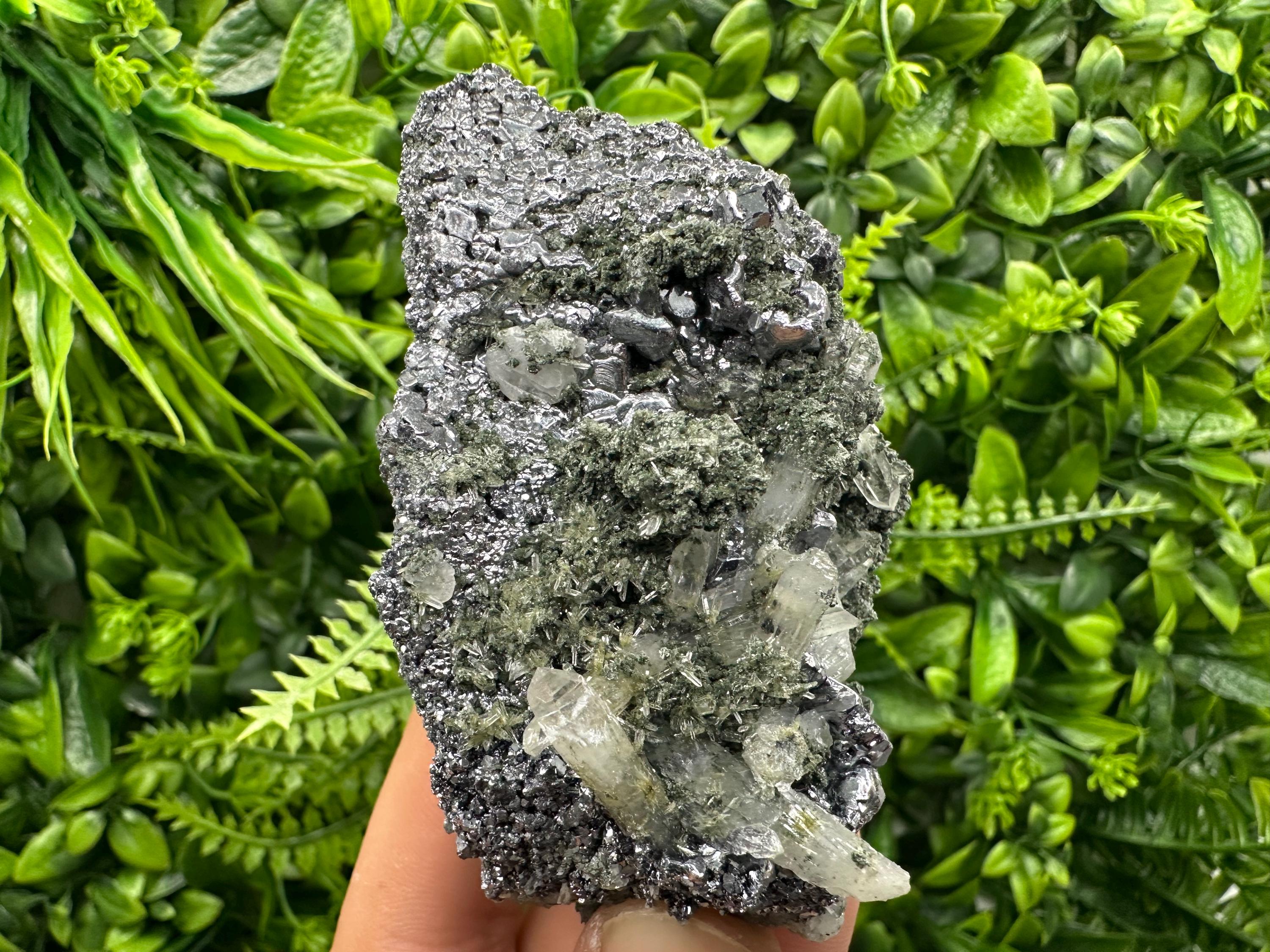 Galena with Quartz and Chlorite, Bulgaria Mineral Specimen