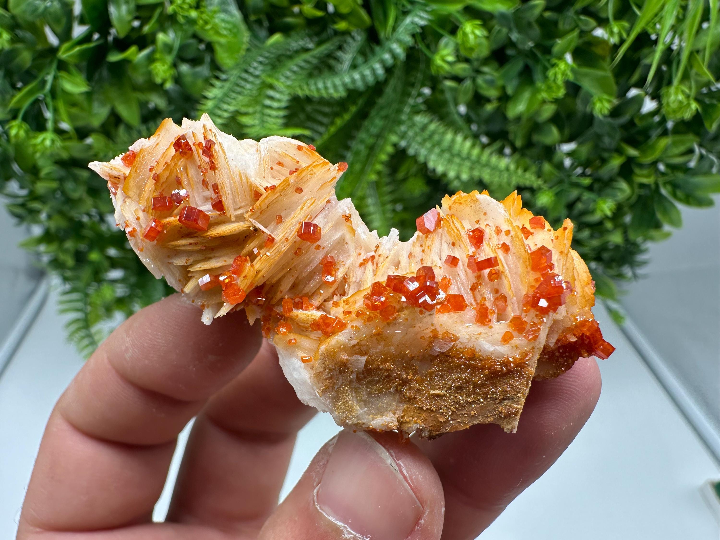 Red Vanadinite on Barite from Marocco,crystal minerals Speciment cluster Vanadinite crystal Vanadinite Geology Vanadinite cluster minerals