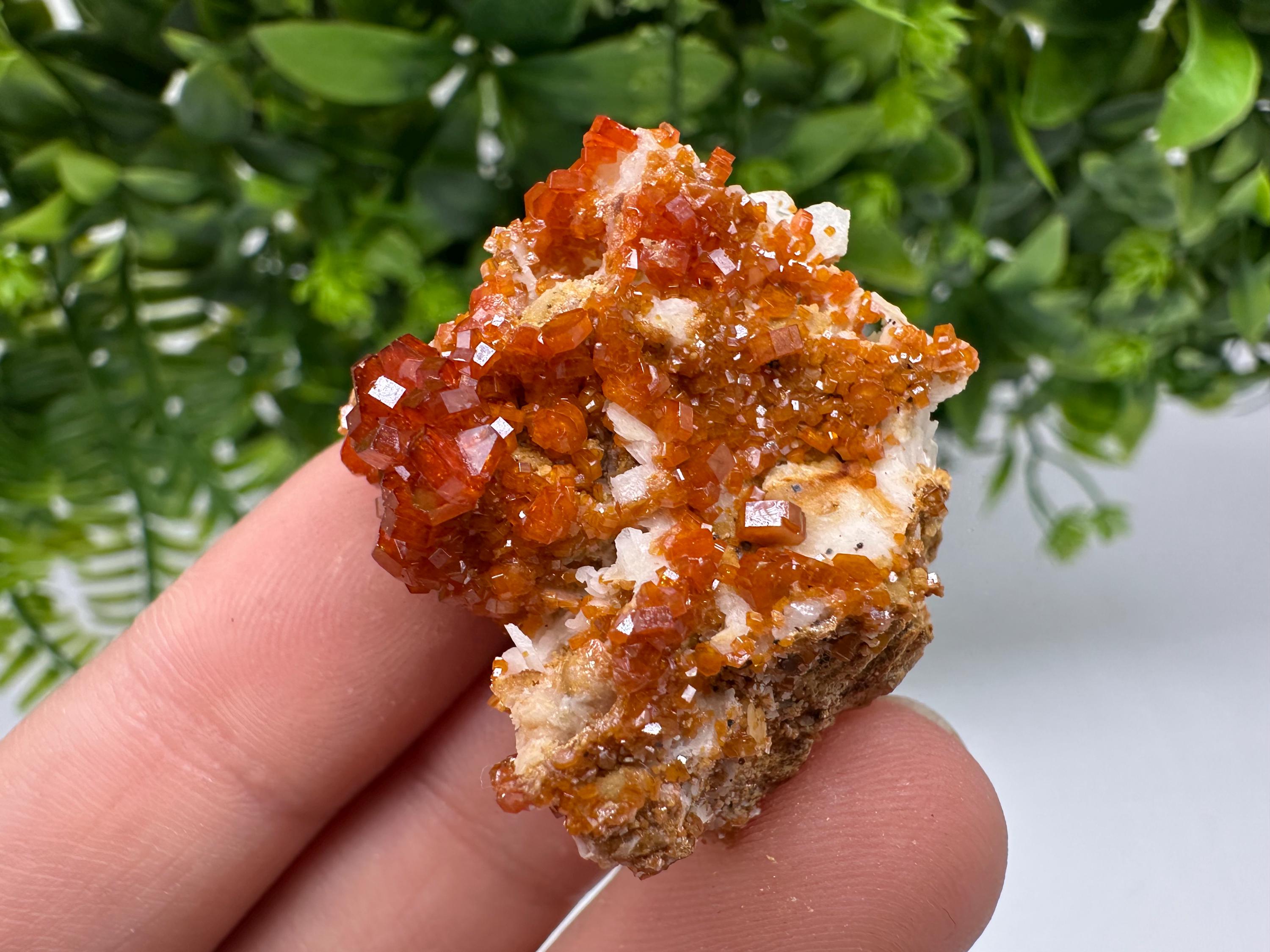 Red Vanadinite on Barite Specimen: Moroccan Crystal Cluster (3.5/3/2cm, 22 grams)