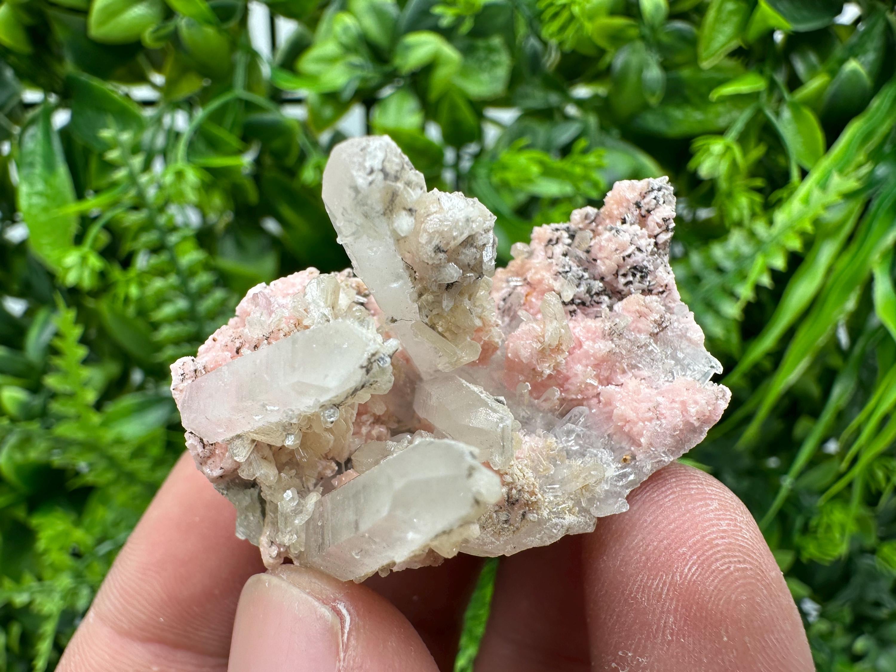 Pink Rhodochrosite Crystal: Starnica Mine, Bulgaria, Home Decor