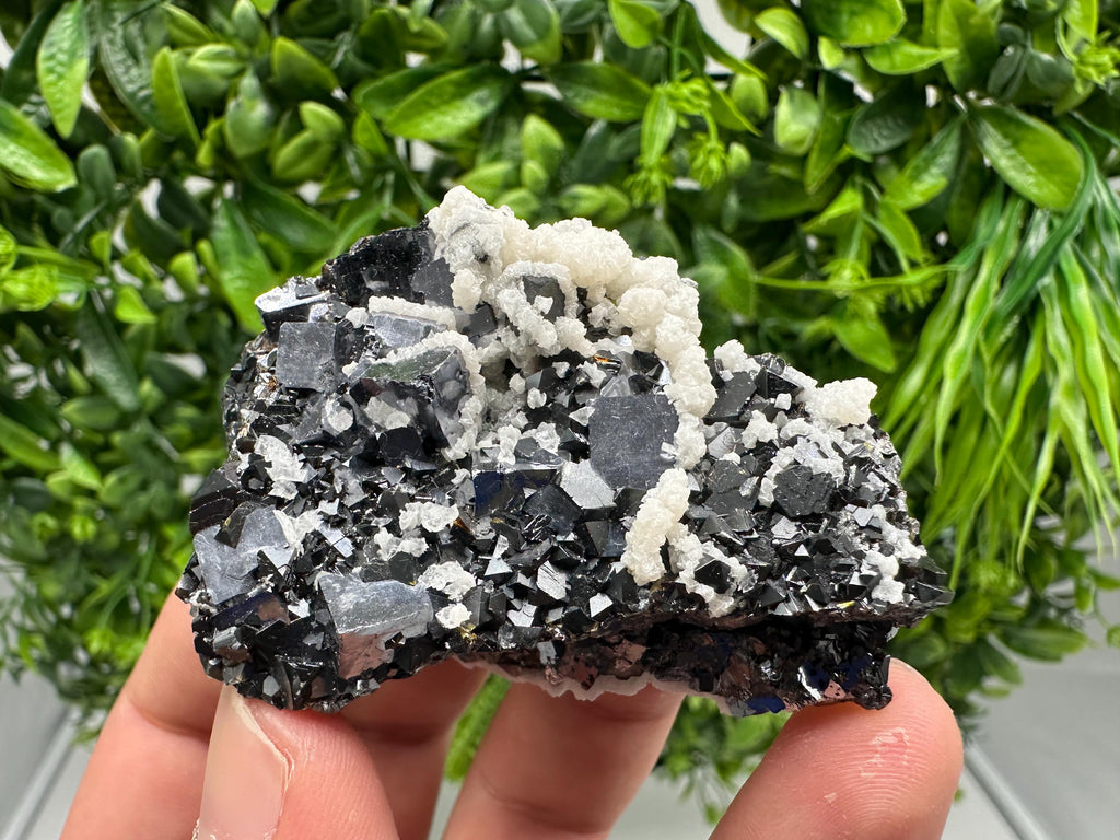 Collected Skeletal GALENA whit Sphalerite from Krushev dol mine,Madan,Bulgaria,natural,collectible mineral specimen home decor stone,gift