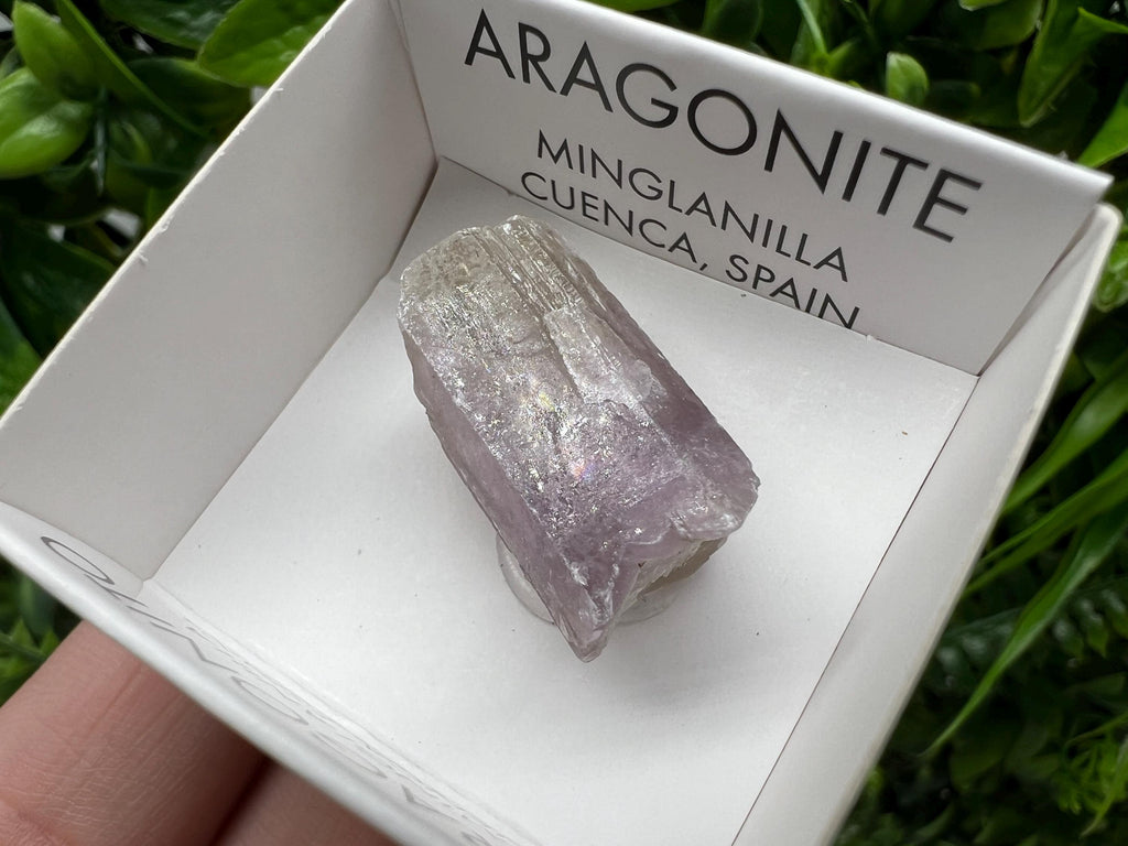 Amazing Aragonite from Spain,Aragonite crystal,cluster,natural,mineral,specimen,Purple Aragonite,Spanish Aragonite,Mineralcollection
