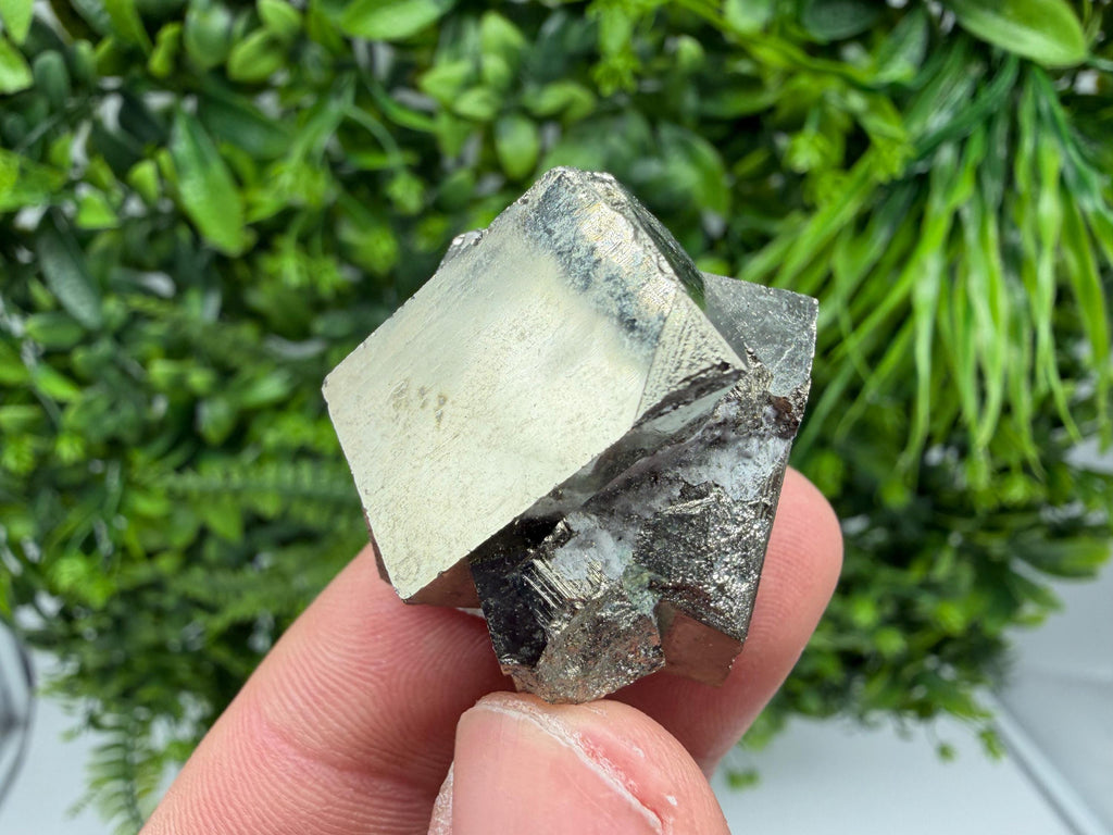 Interjoined,Pyrite,Gold,Cube PYRITE, Navajun, La Rioja, SPAIN,natural Pyrite shiny Pyrite home decor stone gift minerals,collectibls