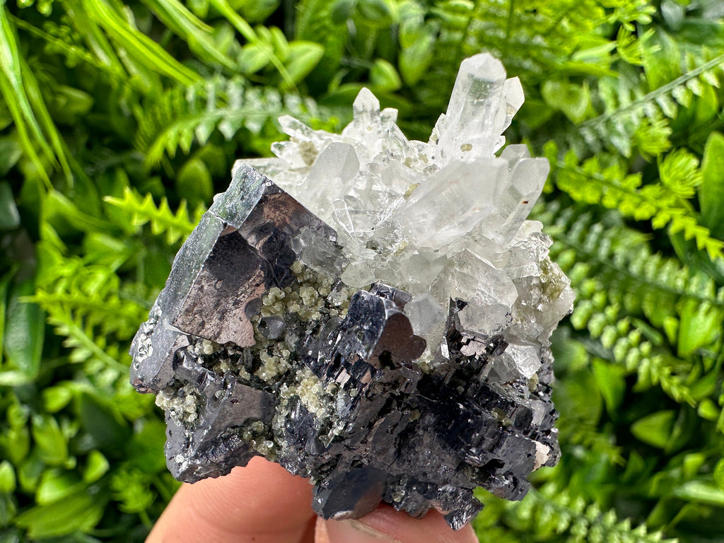 Galena on Quartz: Borieva Mine Crystal Souvenir