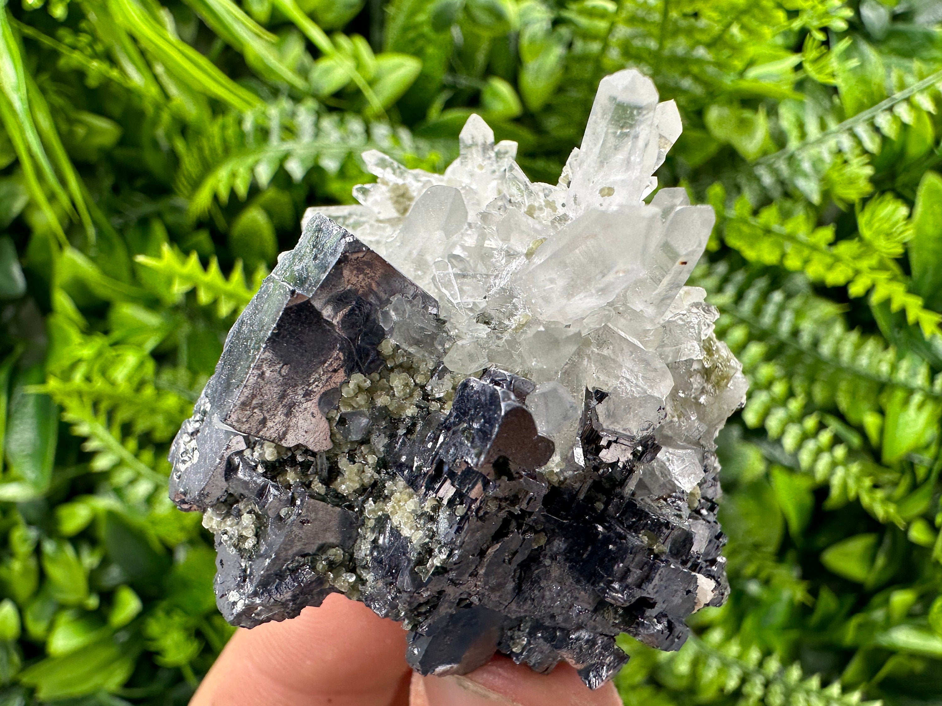 Galena on Quartz: Borieva Mine Crystal Souvenir
