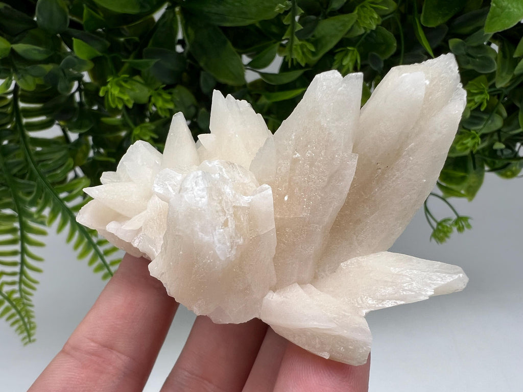 Calcite on Green Quartz: Djurcovo Mine, Bulgaria Healing Crystal