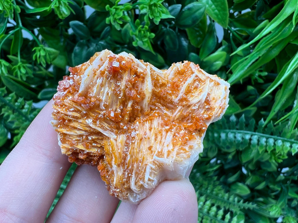 Red Vanadinite on Barite from Marocco,crystal minerals Speciment cluster Vanadinite crystal Vanadinite Geology Vanadinite cluster minerals