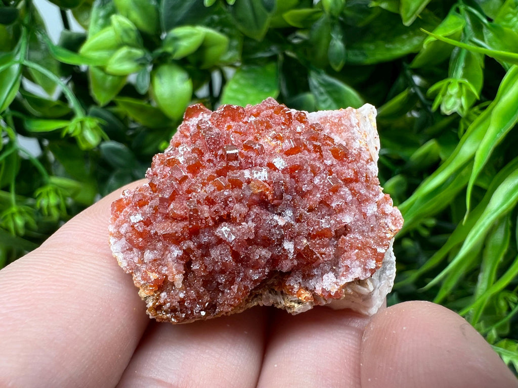 Red Vanadinite on Barite from Marocco,crystal minerals Speciment cluster Vanadinite crystal Vanadinite Geology Vanadinite cluster minerals