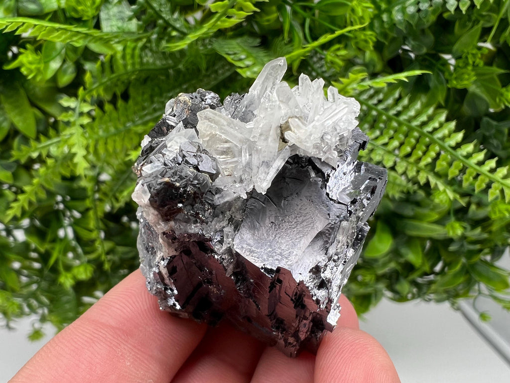Pyrite Galena Sphalerite Quartz Specimen, Borieva Mine Bulgaria