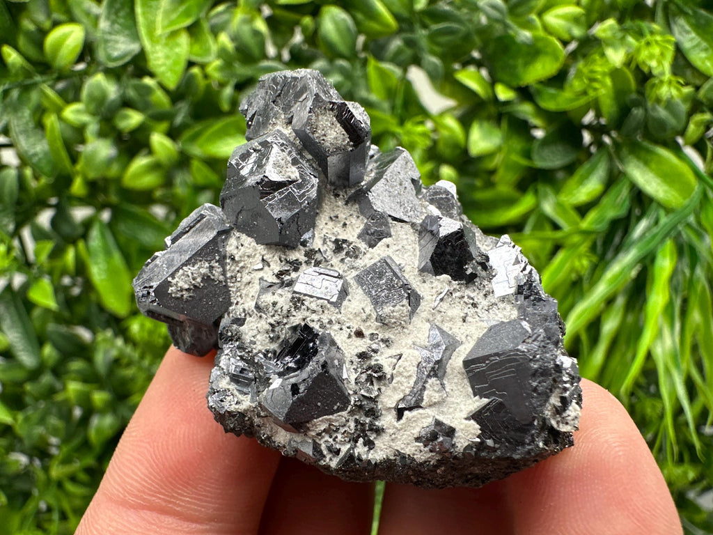 Stunning Shpinel Galena on Sphalerite from Borieva mine,Madan,Bulgaria,Natural,collectible mineral specimen,home decor,collectible’s crystal
