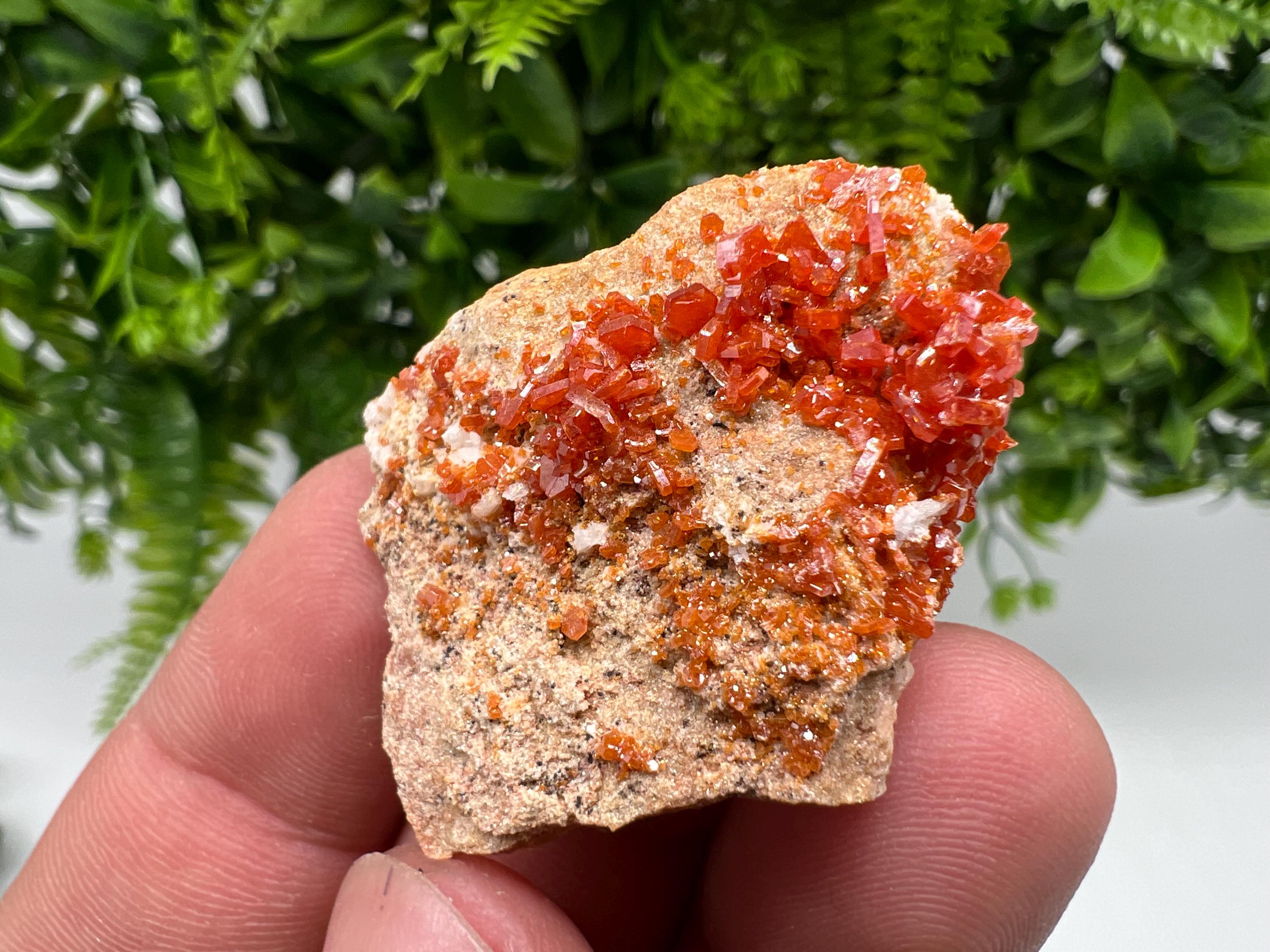 Red Vanadinite on Barite from Marocco,crystal minerals Speciment cluster Vanadinite crystal Vanadinite Geology Vanadinite cluster minerals