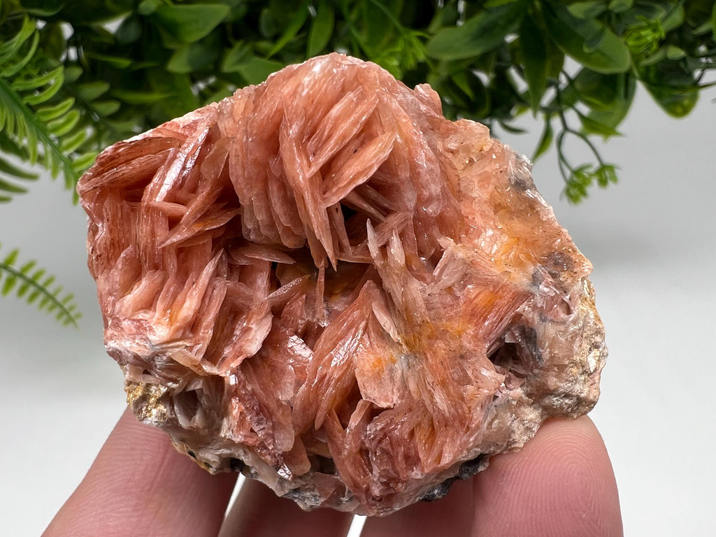 Moroccan Baryte Cluster with Cerussite on Galena