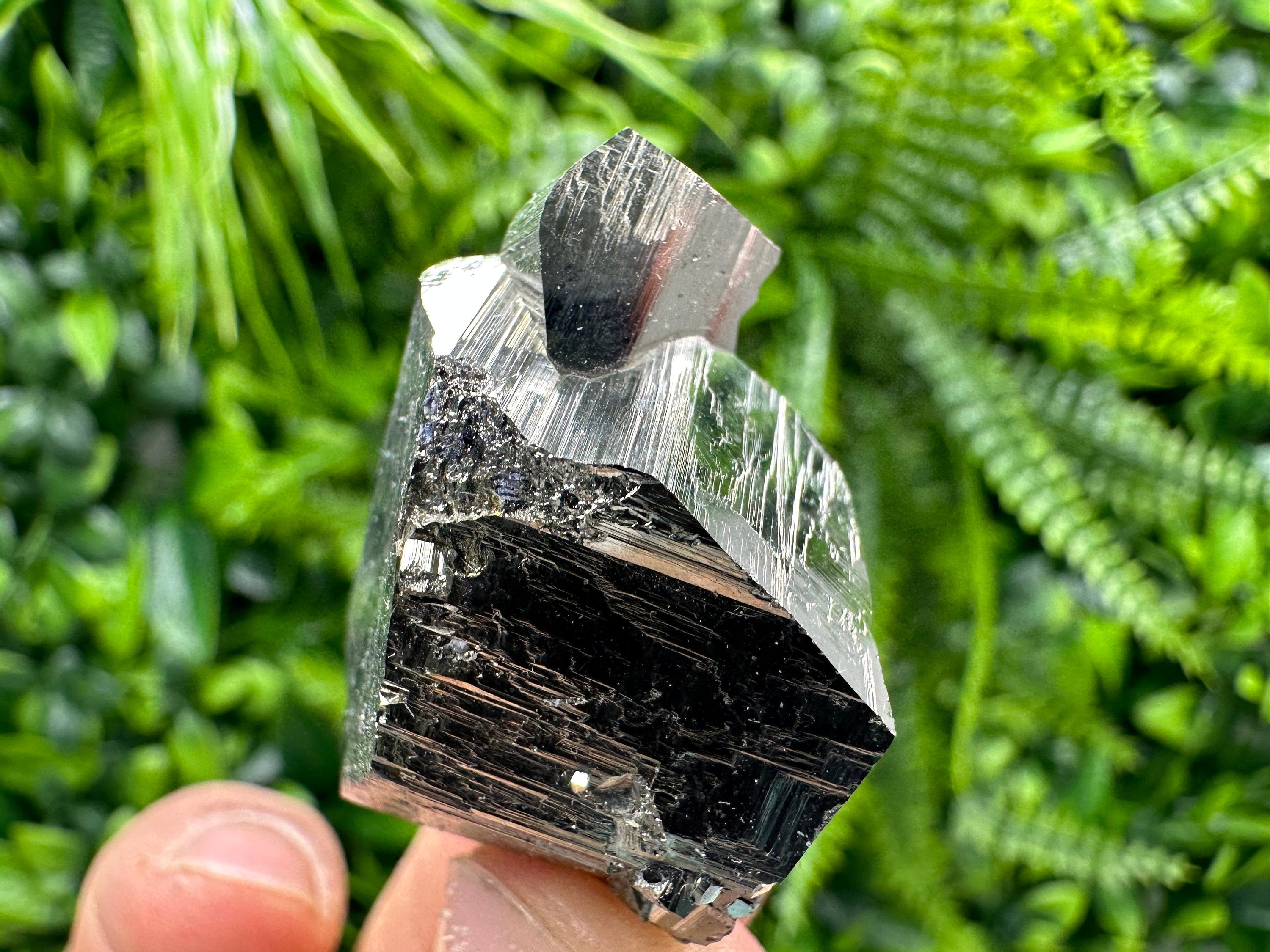 Golden Pyrite Crystal: Shiny Fool's Gold Souvenir from Madan Bulgaria