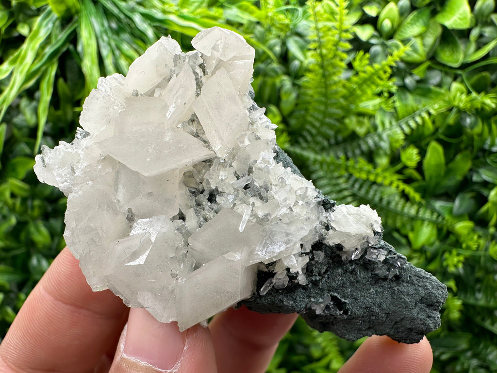 Calcite on Matrix, Borieva Mine Bulgaria, Rare Mineral Specimen