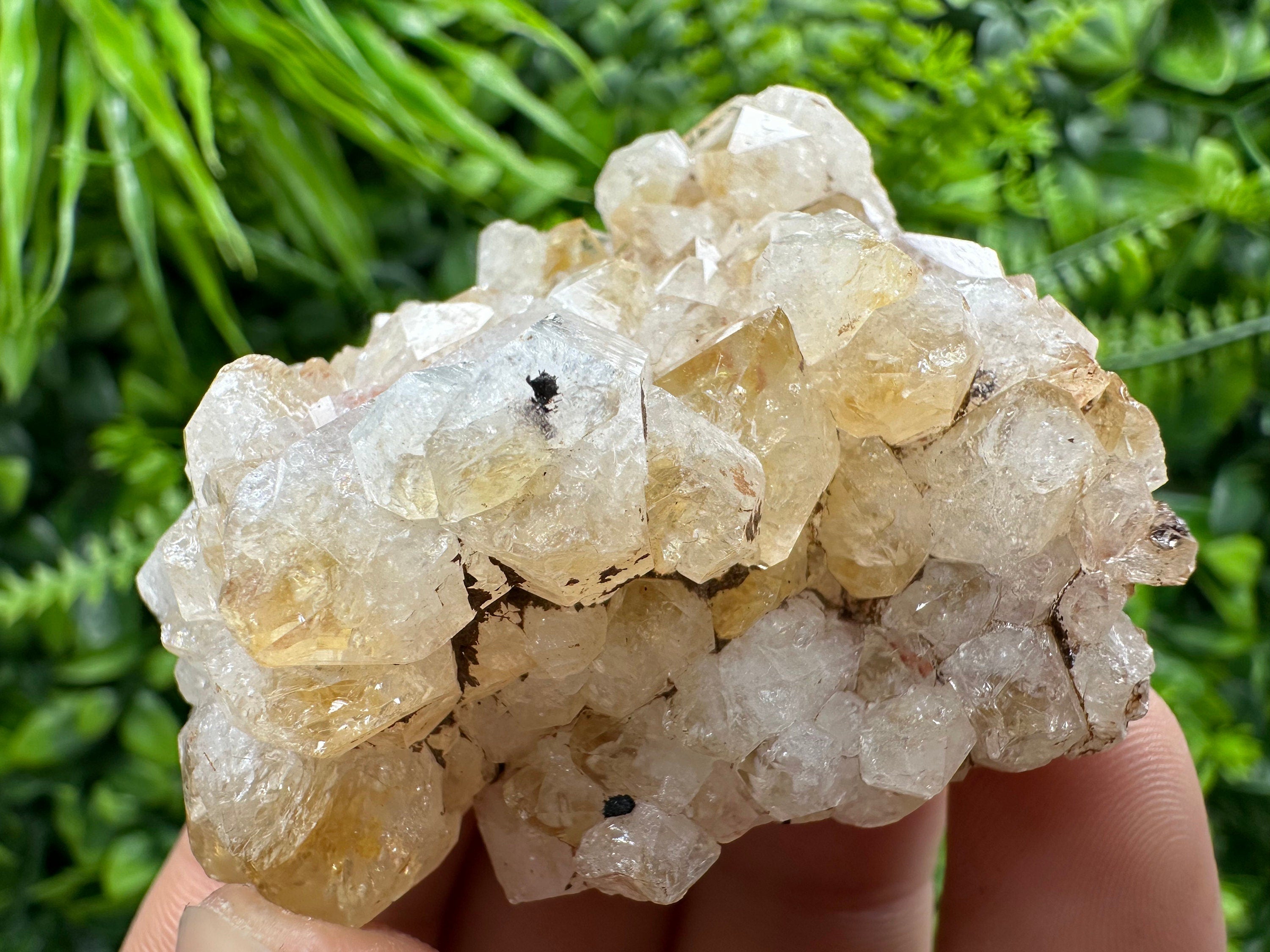 Citrine Crystal Cluster with Hematite Inclusions - Brazil