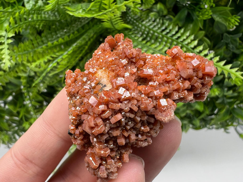 Red Vanadinite Crystal Cluster on Barite Matrix, Morocco Mineral Specimen