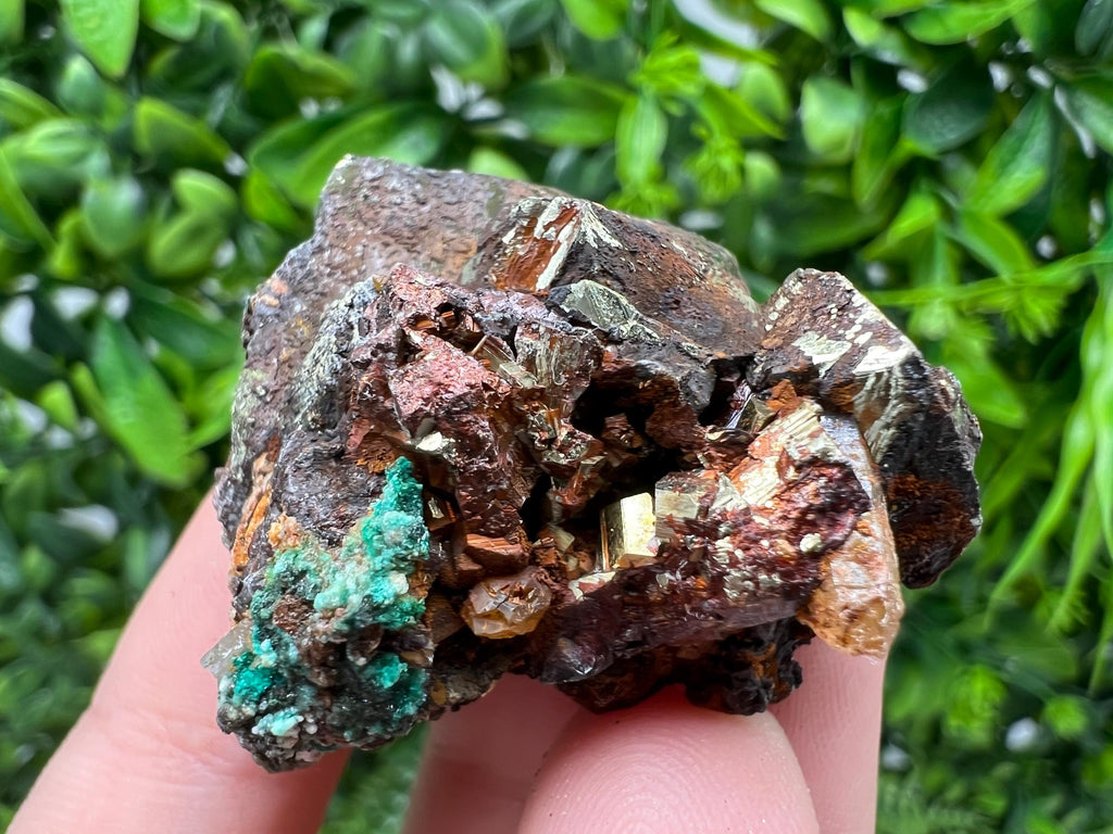 Malachite on Chalcopyrite Mineral Specimen: 9th September Mine, Bulgaria