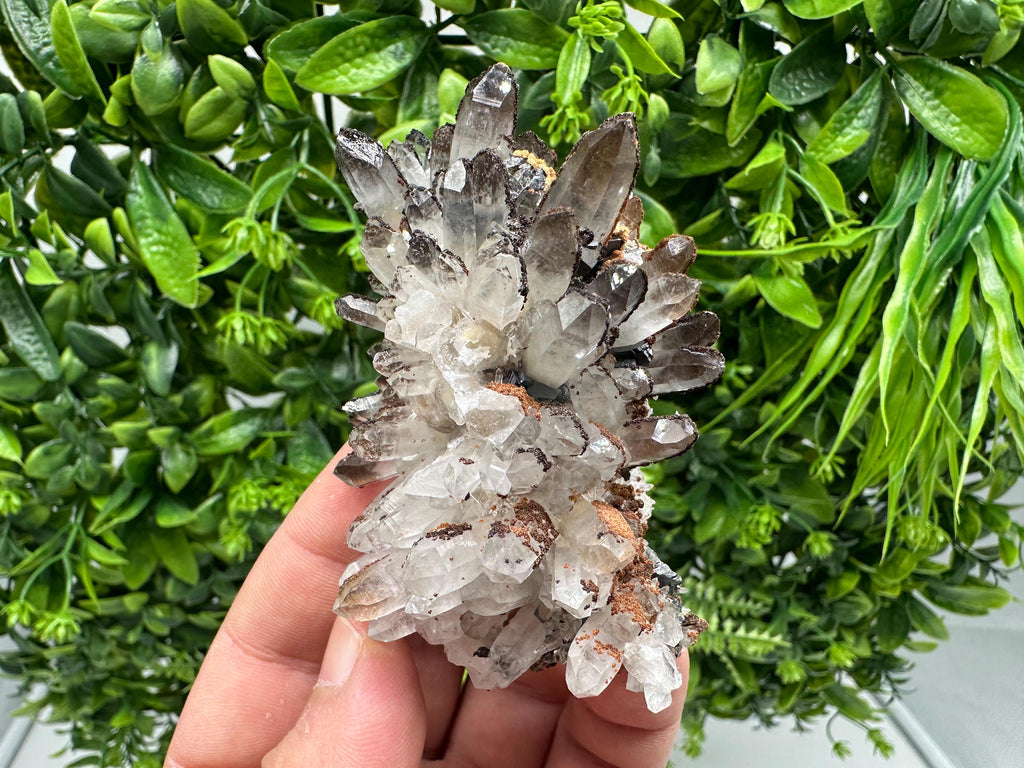Wonderful Sphalerite Chalcopyrite on  Quartz whit Hematite feom 9 th September mine,Bulgaria,natural,collection mineral specimen,gift