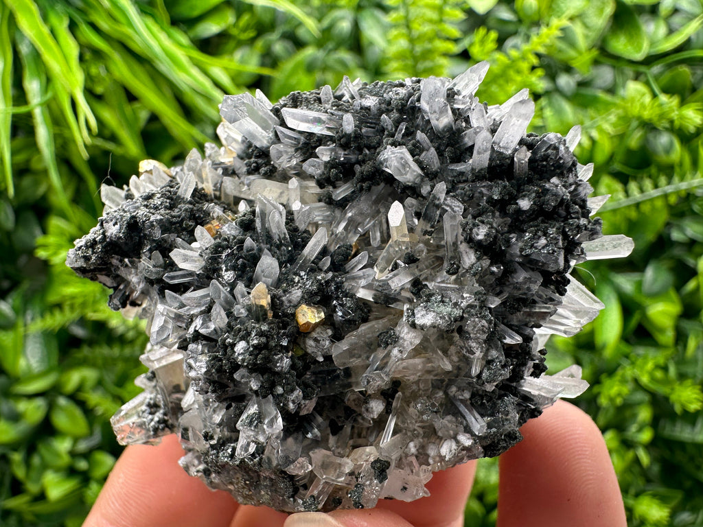 Chlorite Quartz Crystal: Iron Oxide Mineral Specimen, Borieva Bulgaria
