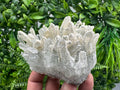 Quartz Calcite Cluster, Krushev Dol Mine Mineral Specimen