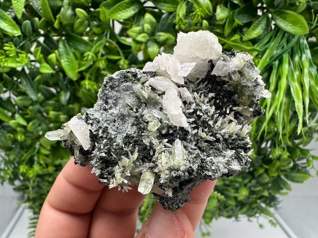Quartz with Calcite and Chlorite: Borieva Mine Crystal, Bulgaria