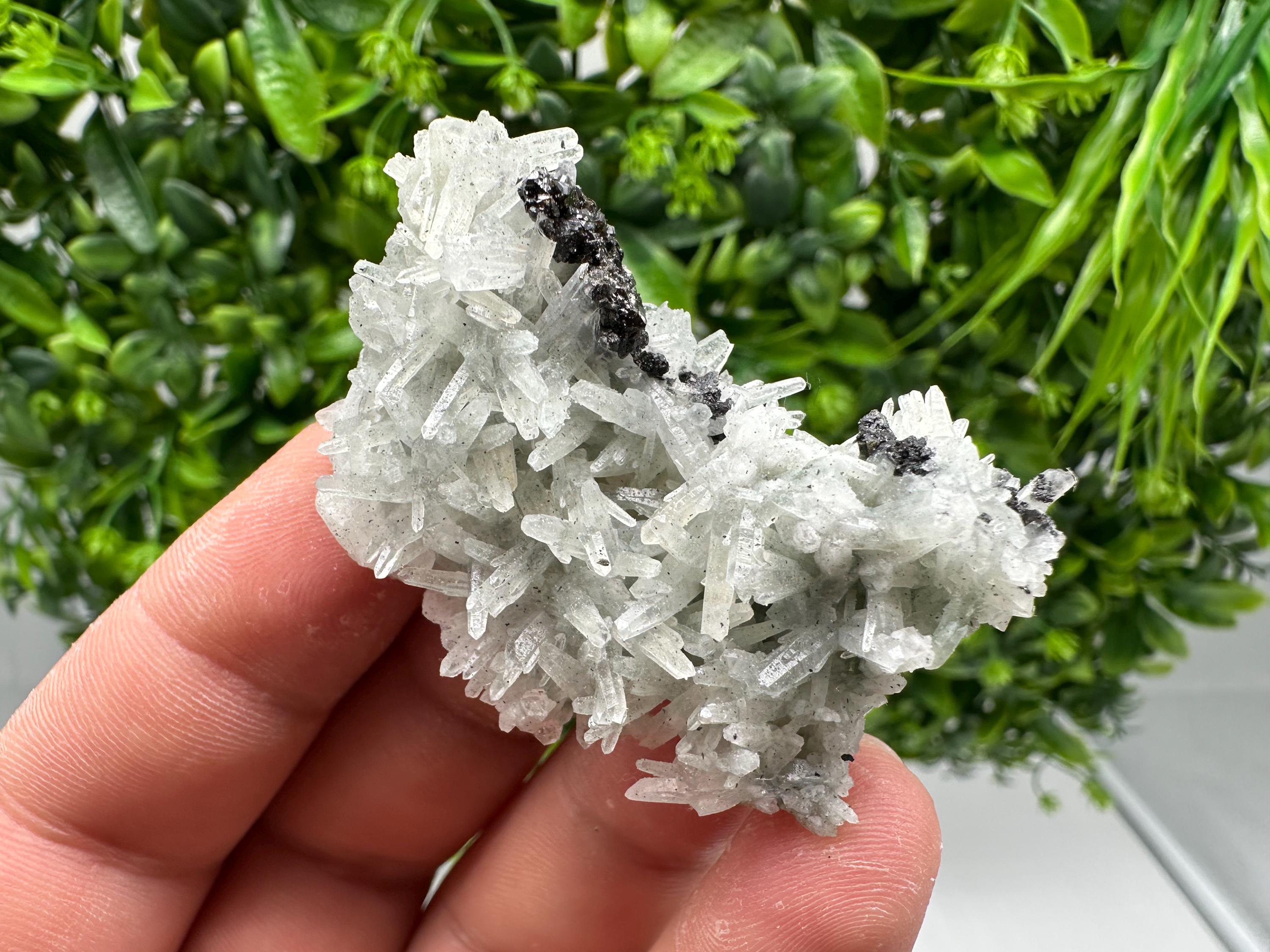 Stunning Sphalerite on  Quarzt from Borieva mine,Madan,Bulgaria,natural,collection mineral specimen,home decor crystal,gift,collection