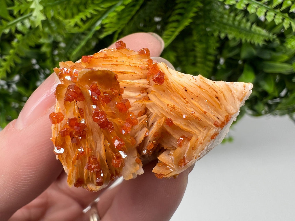 Red Vanadinite on Barite from Marocco,crystal minerals Speciment cluster Vanadinite crystal Vanadinite Geology Vanadinite cluster minerals