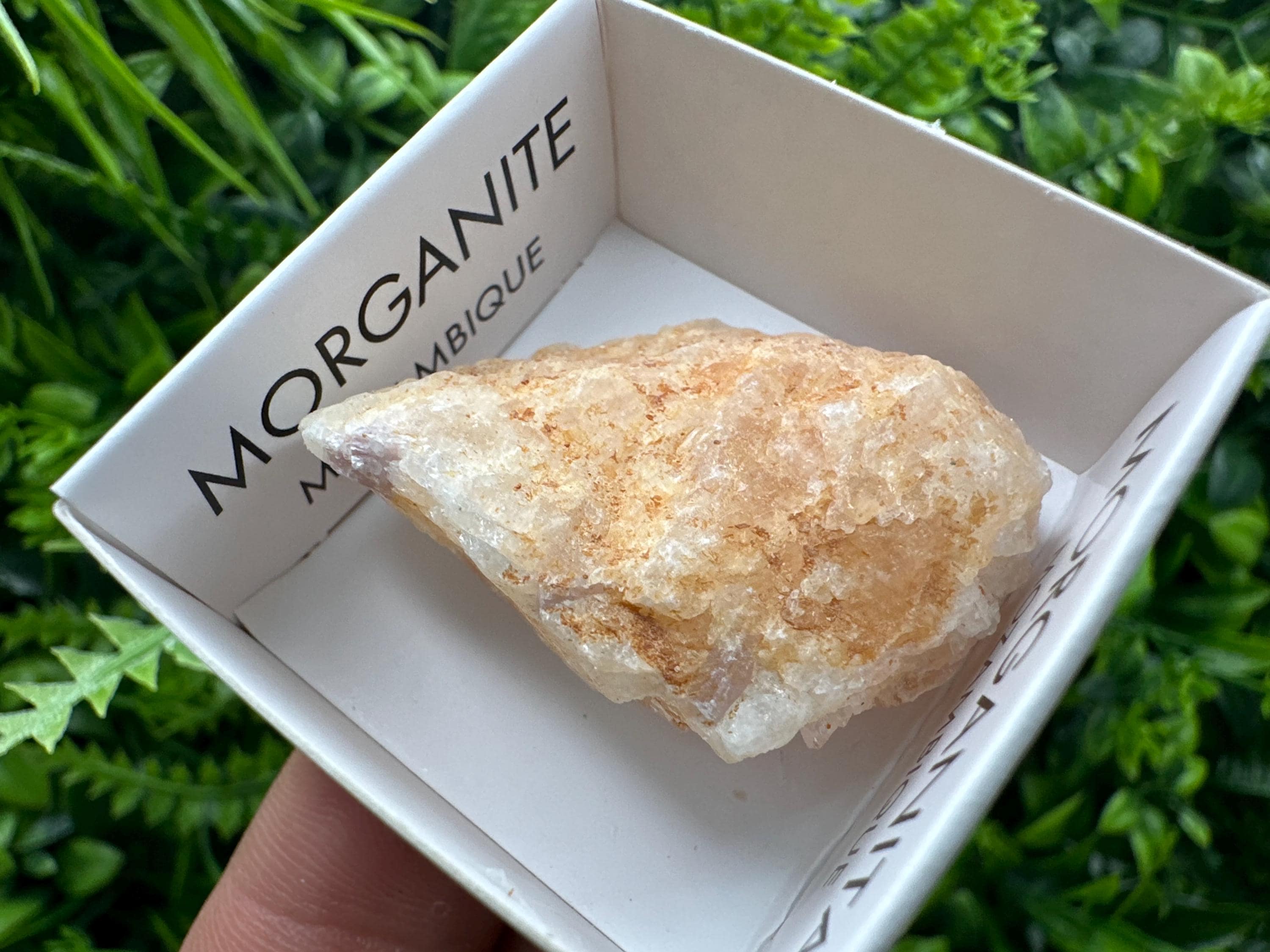 Rare Raw Morganite Specimen: Mozambique Crystal (3.5/3cm)